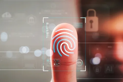 Permanent Residence and Criminal Record Checks: What You Need to Know